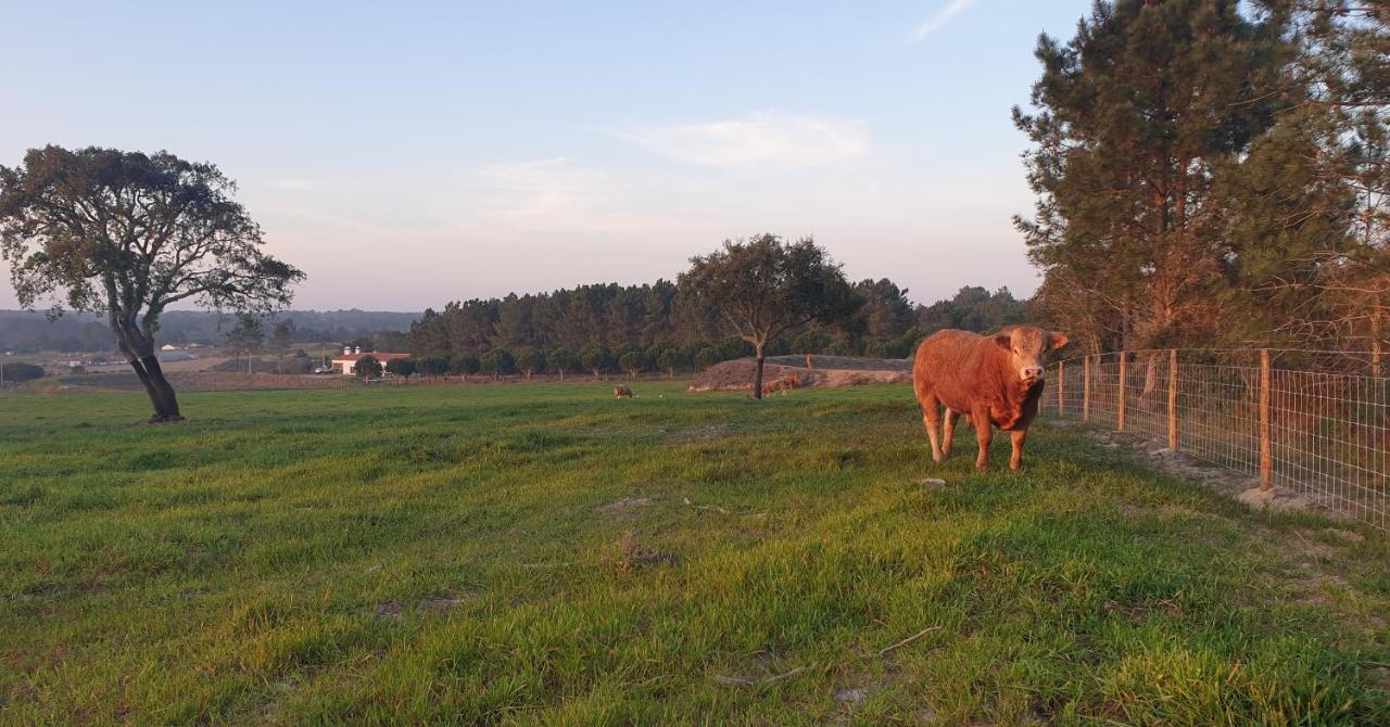 Monte Da Xara Villa Aljezur Bagian luar foto