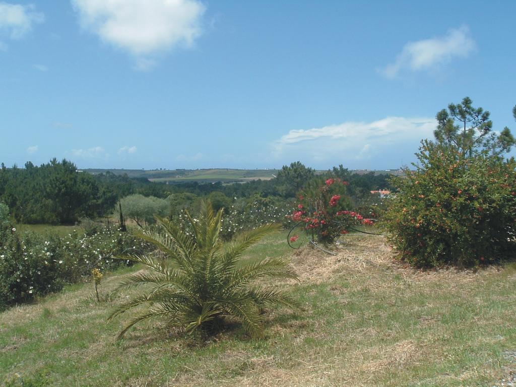 Monte Da Xara Villa Aljezur Bagian luar foto