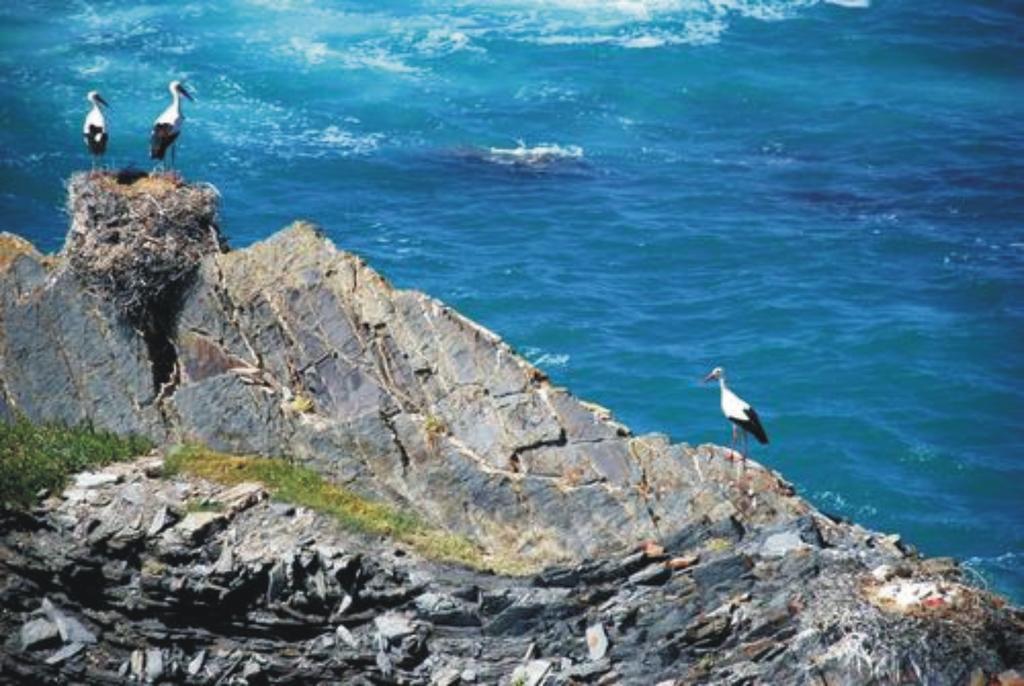 Monte Da Xara Villa Aljezur Bagian luar foto